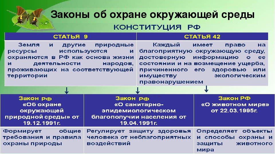 Открыть оригинальное изображение