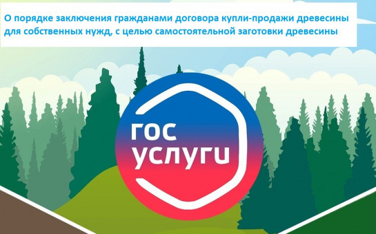 О порядке заключения гражданами договора купли-продажи древесины для собственных нужд, с целью самостоятельной заготовки древесины